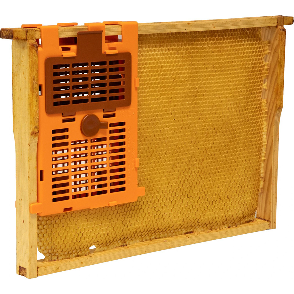 IzoVar - Aislador universal de abeja reina
