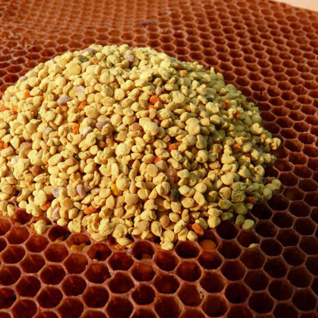 Polen floral - 100g