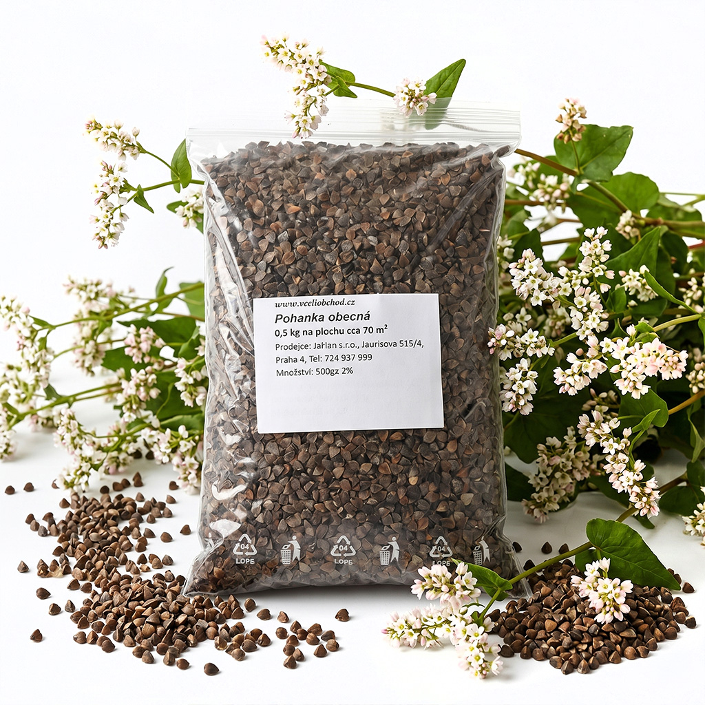 Alforfón común - 0,5 kg
