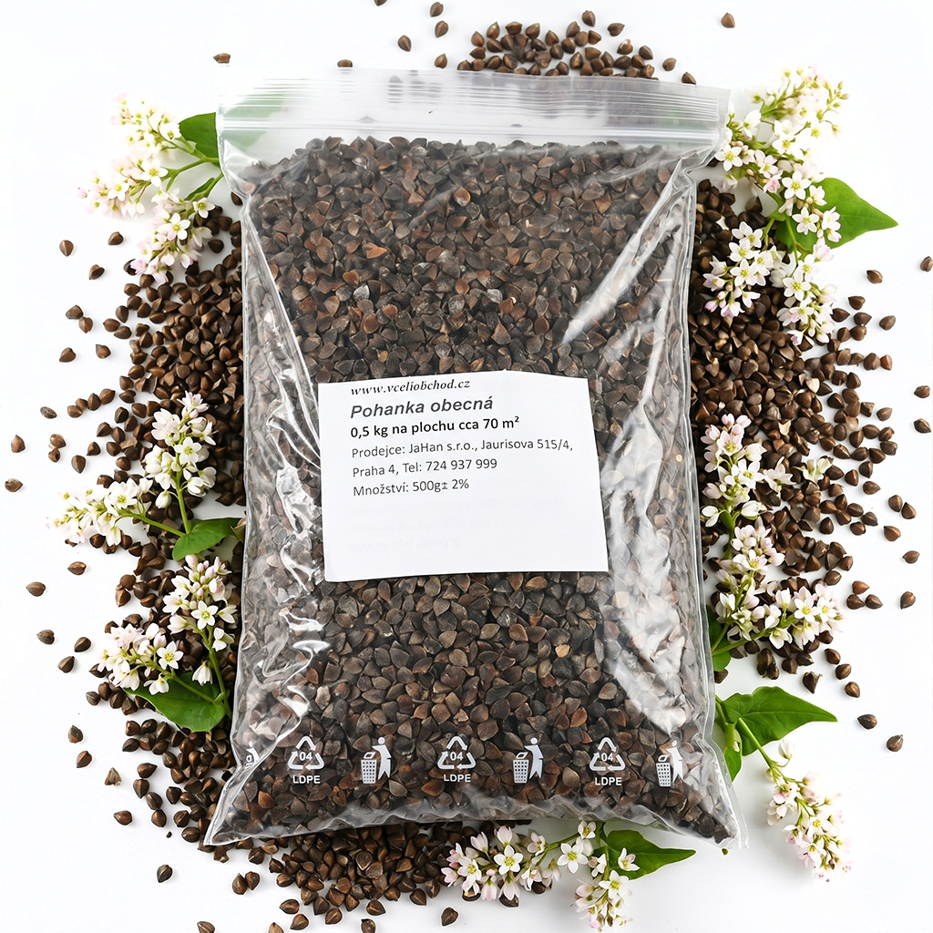 Alforfón común - 0,5 kg