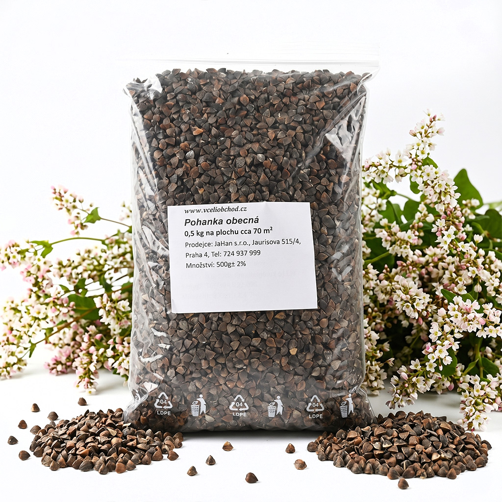 Alforfón común - 0,5 kg