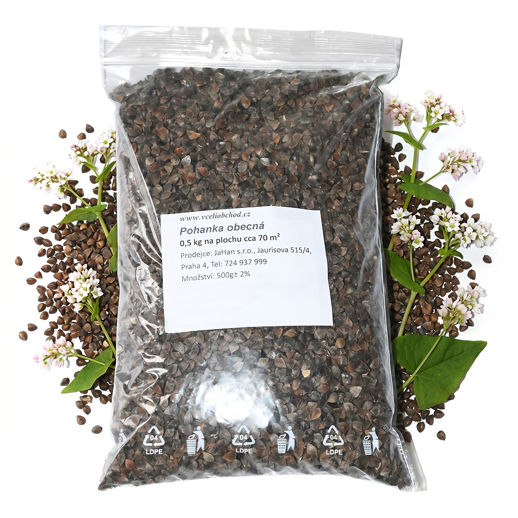 Alforfón común - 0,5 kg
